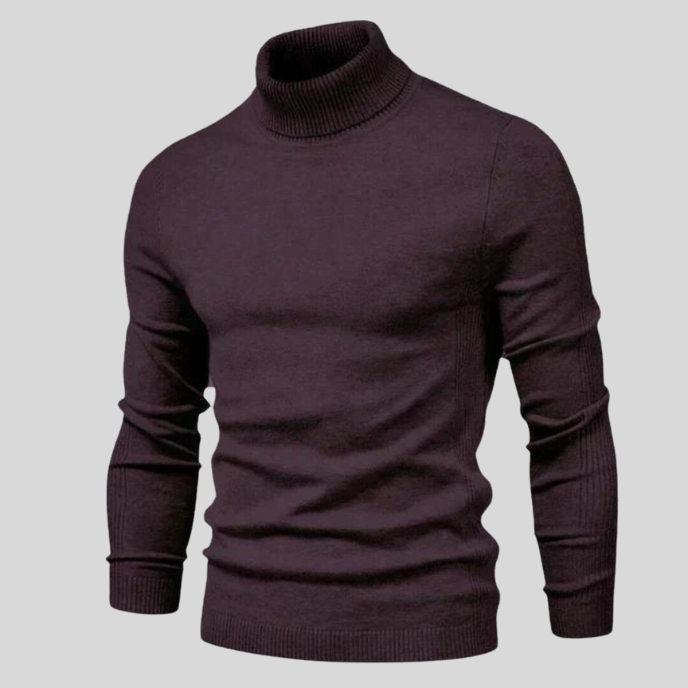 Holden | Turtleneck Sweater